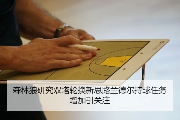 森林狼研究双塔轮换新思路兰德尔持球任务增加引关注