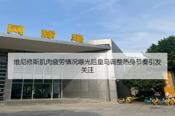 维尼修斯肌肉疲劳情况曝光后皇马调整热身节奏引发关注